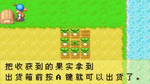 牧场物语矿石镇的伙伴们截图4