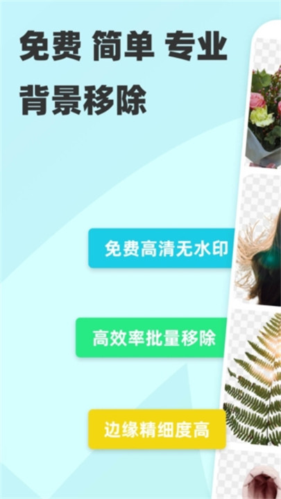 椰子背景修图软件截图1
