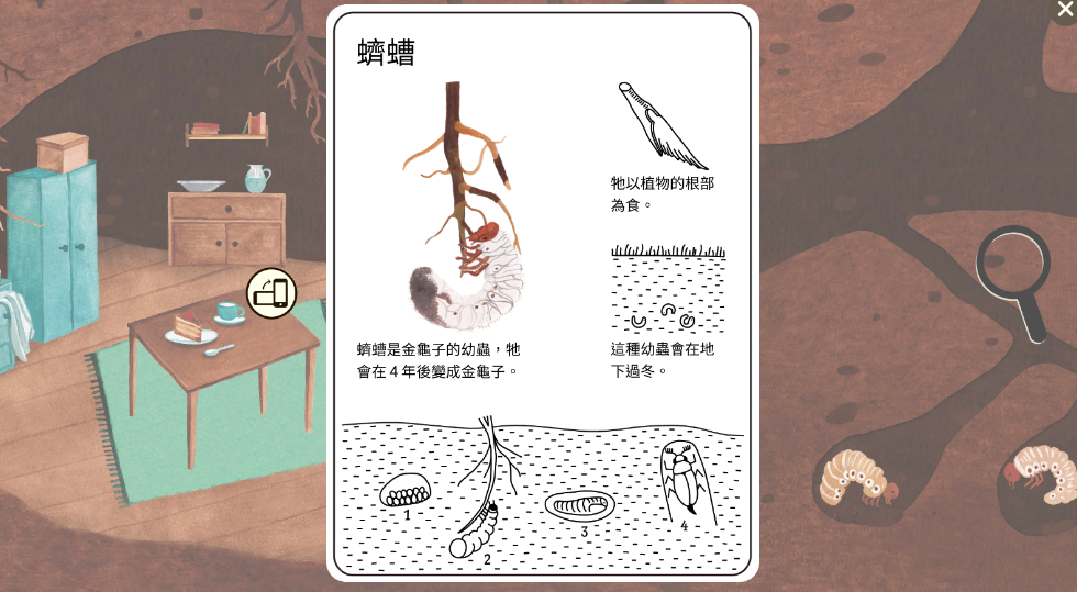 小棕鼠的自然生态百科