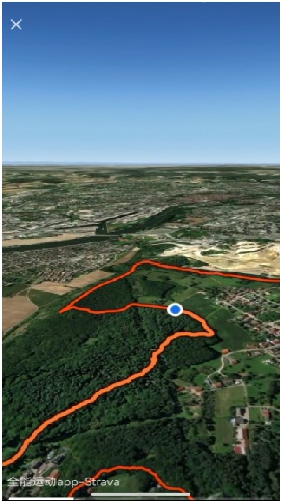 Strava