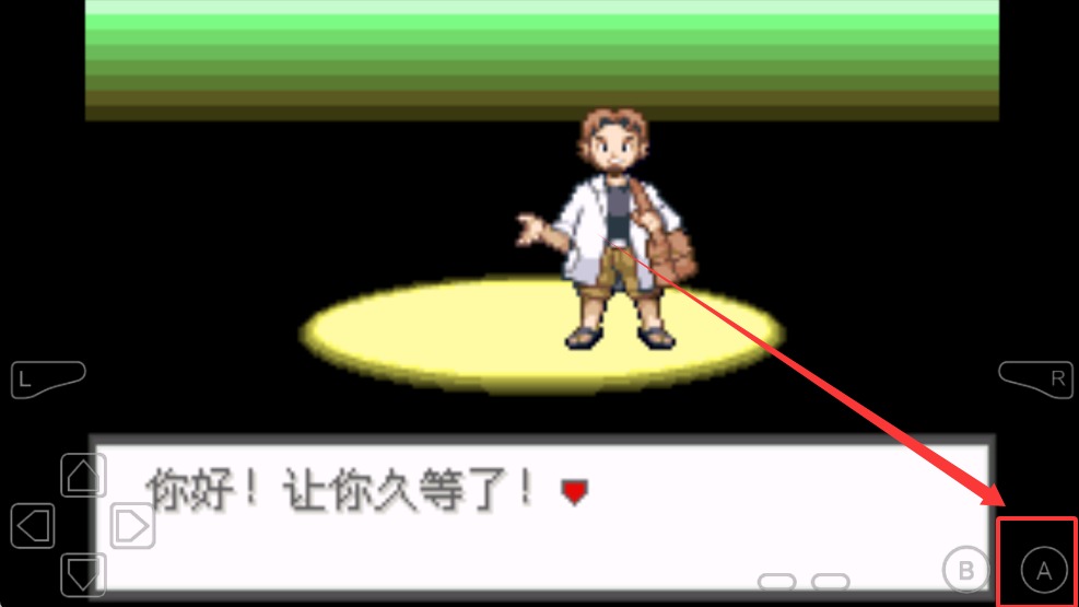 口袋妖怪极光石
