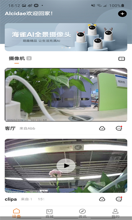海雀截图2