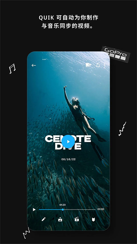 goproquik中文版截图4