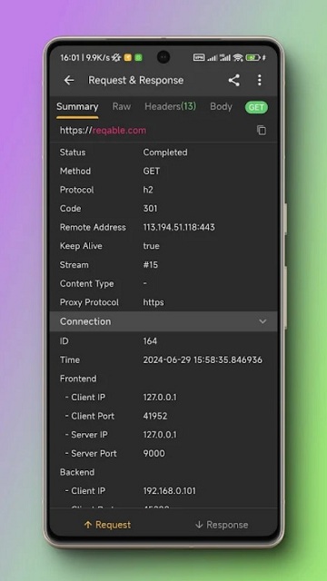 Reqable官方版截图2