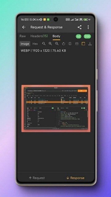 Reqable官方版截图4