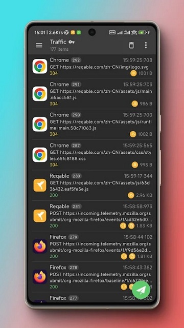 Reqable官方版截图1