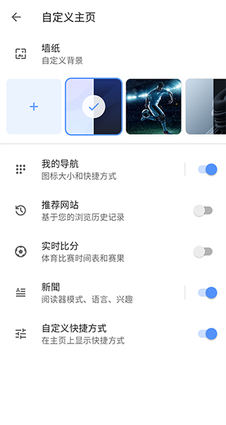 Opera浏览器截图2