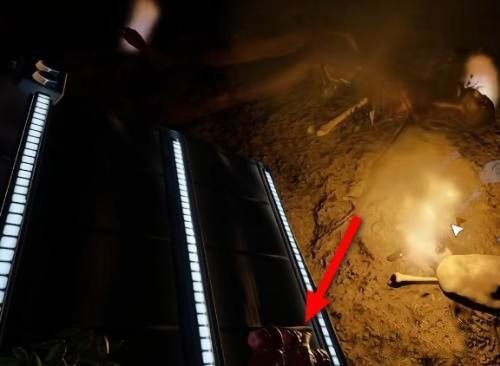 森林之子手机版