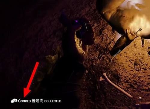 森林之子手机版