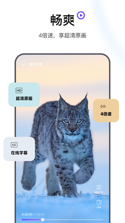 迅雷浏览器app截图5
