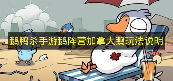 鹅鸭杀手游鹅阵营加拿大鹅怎么玩