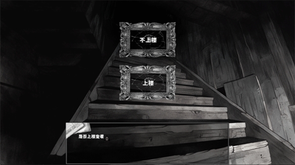 啮齿动物no44观察记录中文版