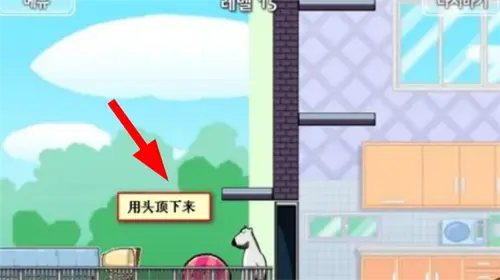 倒霉熊逃离房间正版