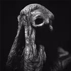 SARCOPH中文版