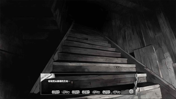 啮齿动物no44观察记录中文版