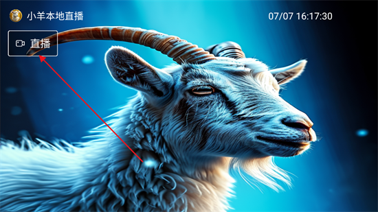 小羊直播