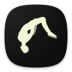 疯狂后空翻2中文版