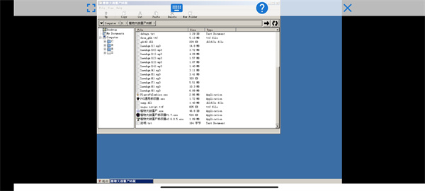 植物大战僵尸95原版