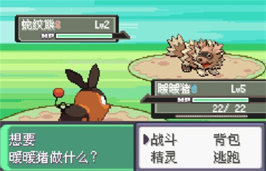 口袋妖怪漆黑的魅影DP版截图1