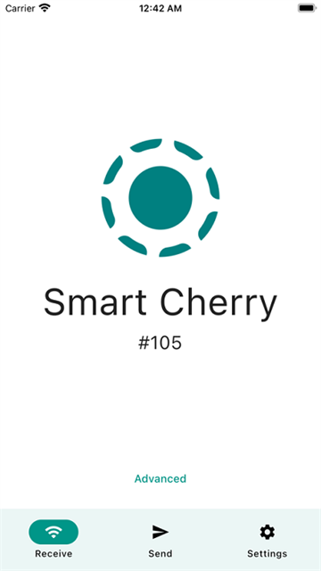 LocalSend安卓版截图3