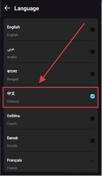 Ruby AI聊天app截图2