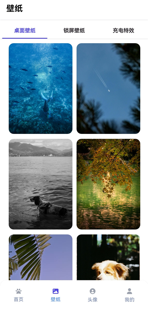 shimeji手机版截图2