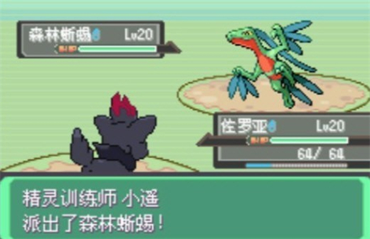 口袋妖怪漆黑的魅影DP版截图2