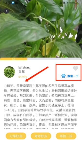 智慧识物截图3