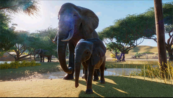 动物园之星手机版截图5