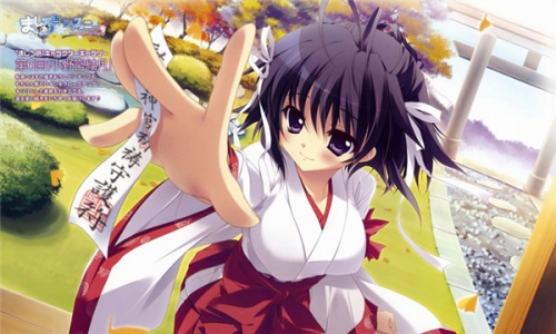 纯白交响曲截图3