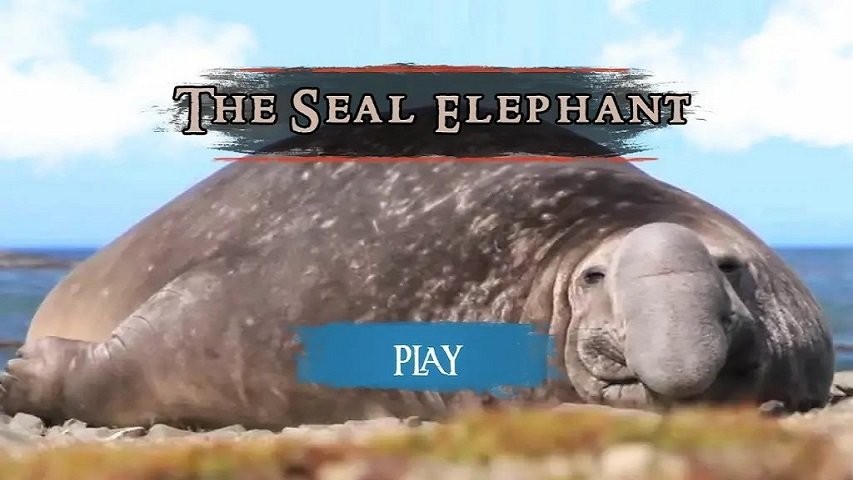 海豹模拟器正版截图1